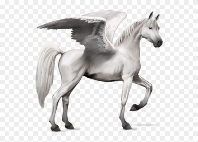 Horse Wings - Howrse Arabian Horse Clipart