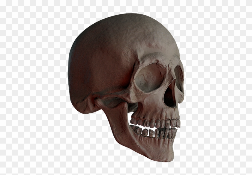 Skull, Skull And Crossbones, Bone, Creepy, Weird, Death - Crâne Tête De Mort Clipart #977705