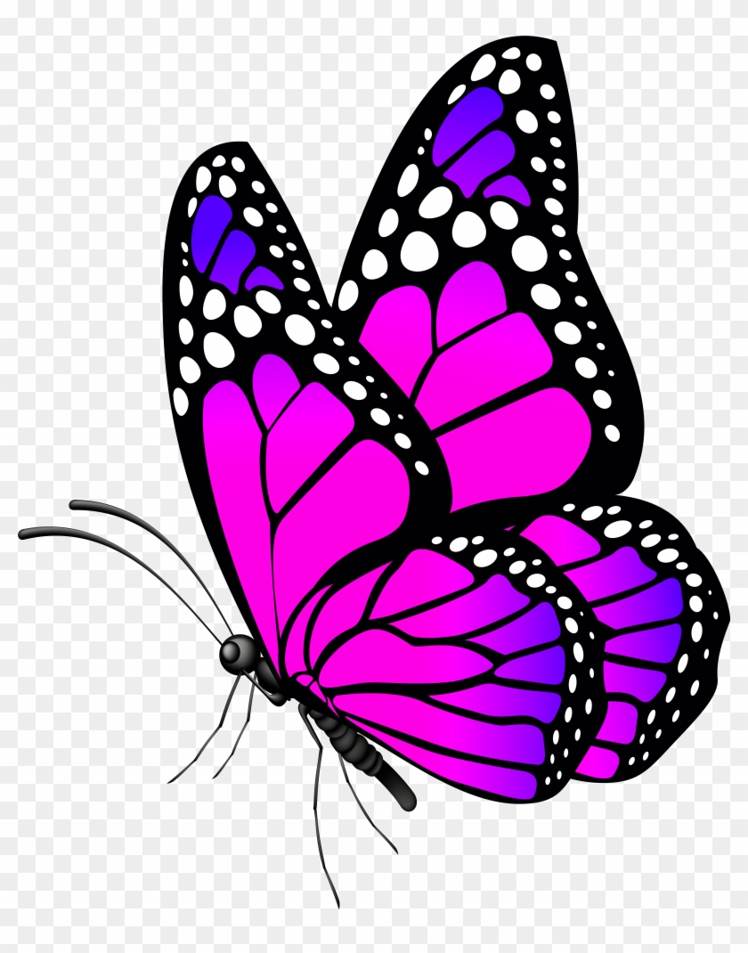 Butterfly Pink Png Clip Art Image Transparent Png