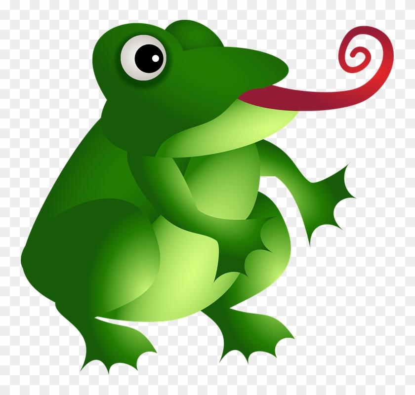 Frog, Amphibian, Green, Animal, Wild, Wildlife, Tongue - Dibujo De Un Anfibio A Color Clipart