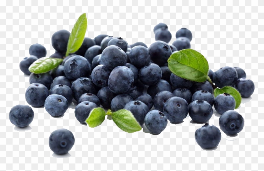 Buy Blueberry In Pakistan Clipart #980084