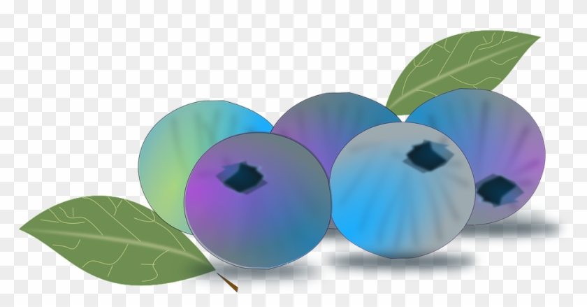 Blueberry Clipart Animated - Fun Facts About Blueberries - Png Download