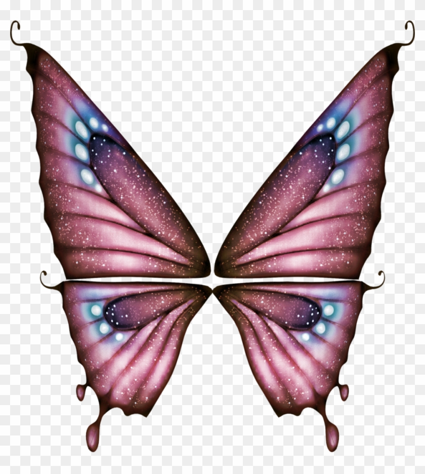 Fairies & Gnomes - Крылья Бабочки Пнг Clipart #980243