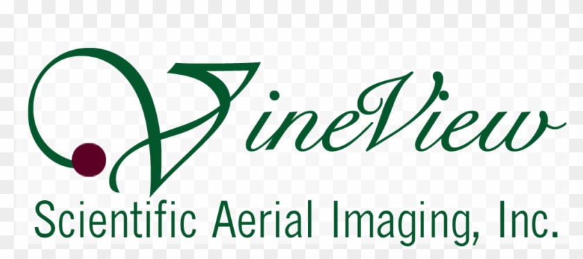 Sai-logo - Calligraphy Clipart