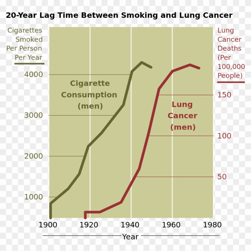 Cancer Smoking Lung Cancer Correlation From Nih - Smoking And Lung Cancer Graph Clipart