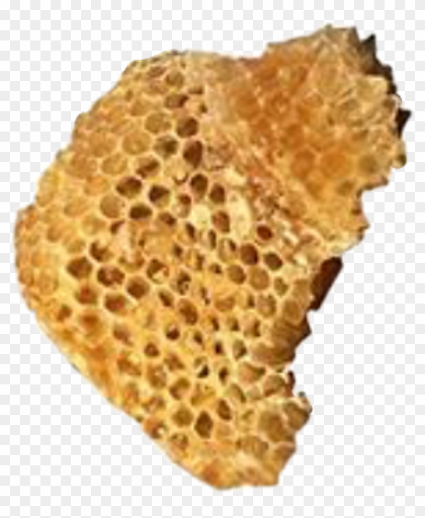 Moodboard Sticker - Honeycomb Clipart