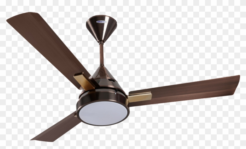 Fan Png - Orient Spectra Fan Clipart #981849