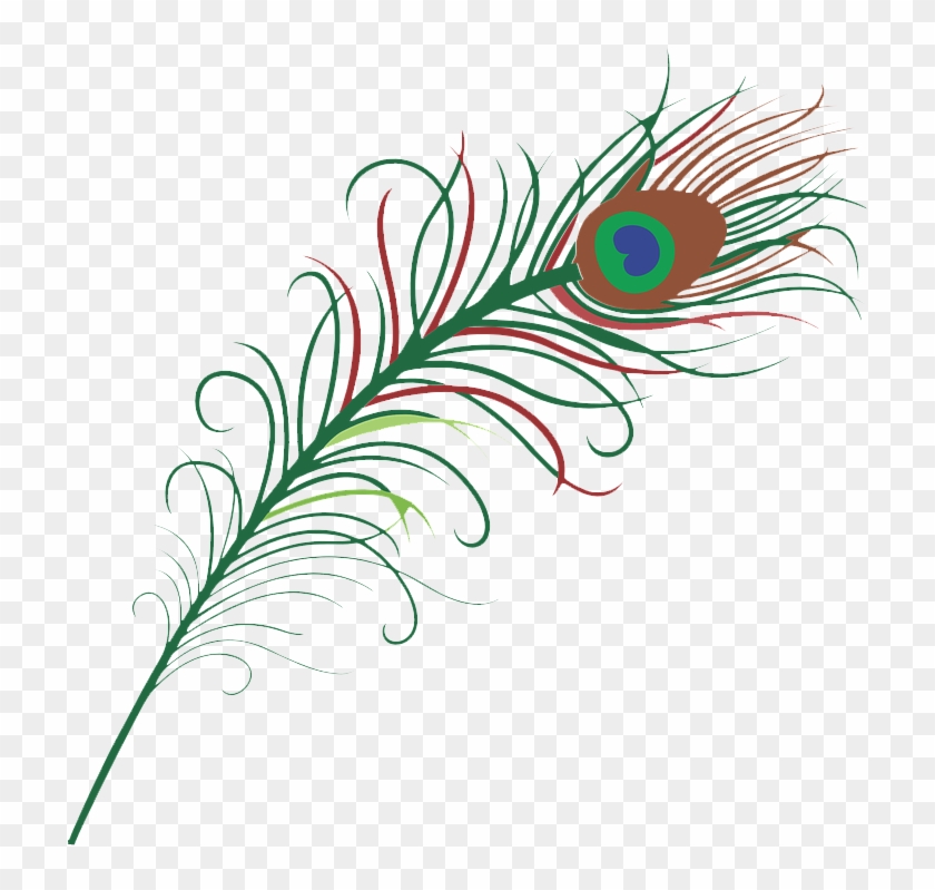 孔雀羽毛 - Peacock Feather Vector Png Clipart
