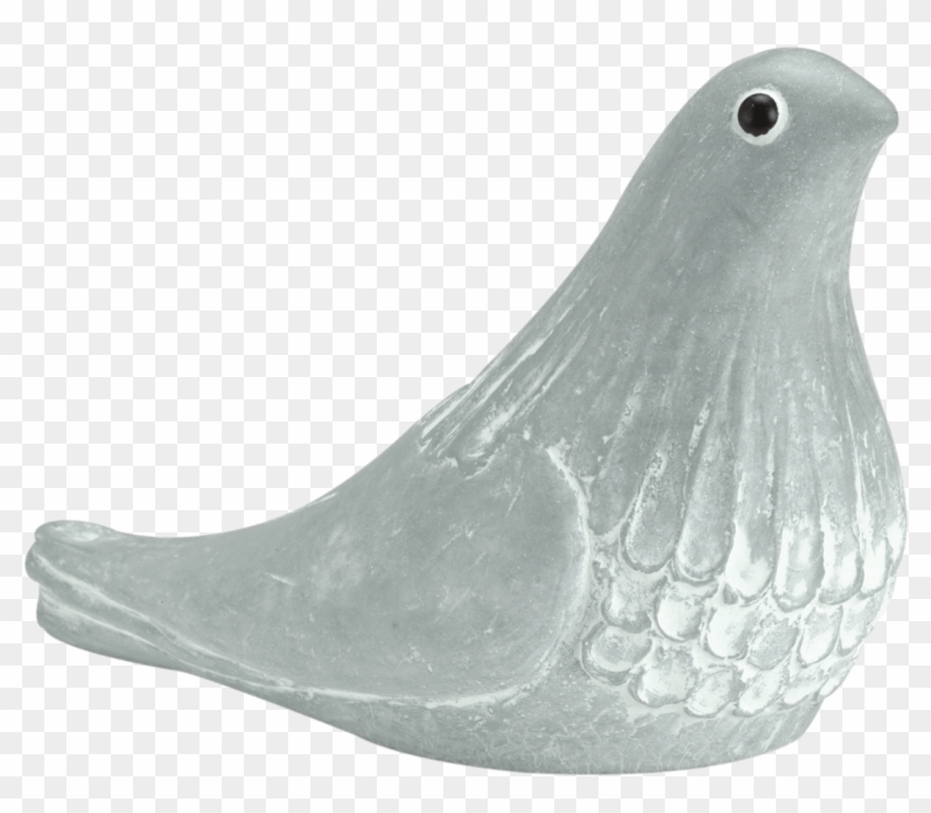 "like A Bird Singing In The Rain - Stock Dove Clipart #982505