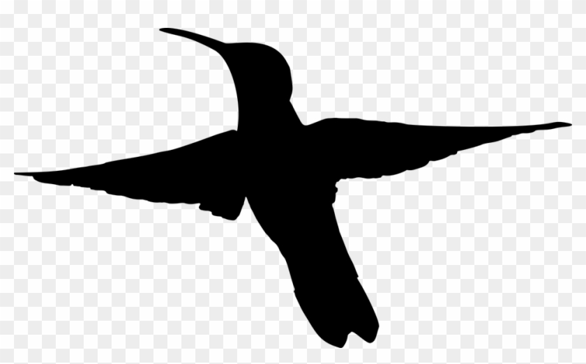 Bird Flying Hummingbird Silhouette Svg - Black Hummingbird Flying Clipart - Png Download