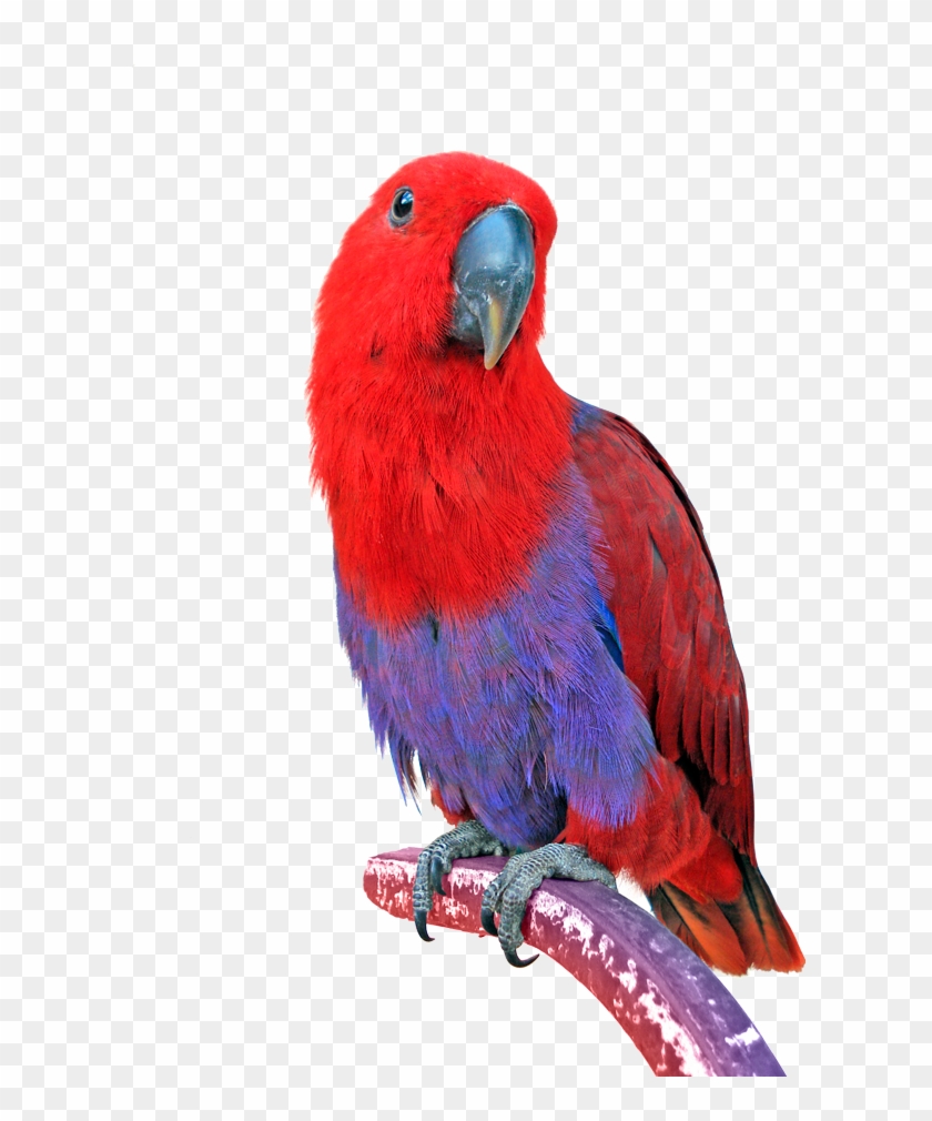 Png Image Information Clipart