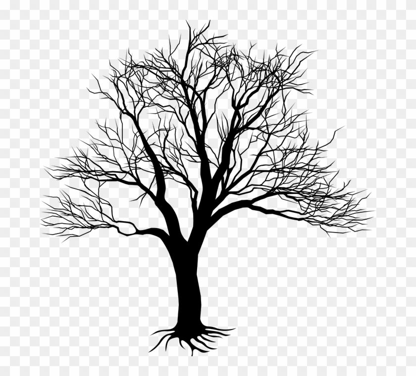 Tree Drawing Png - Black Tree Silhouette Clipart