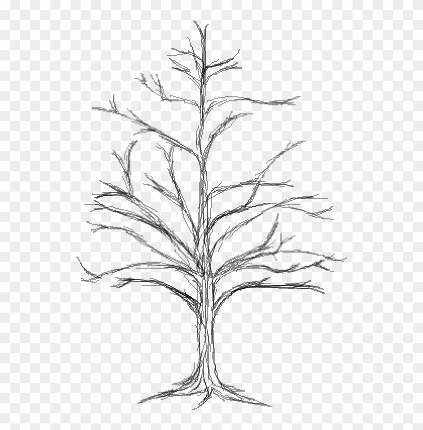 Dead Tree - Sketch Clipart