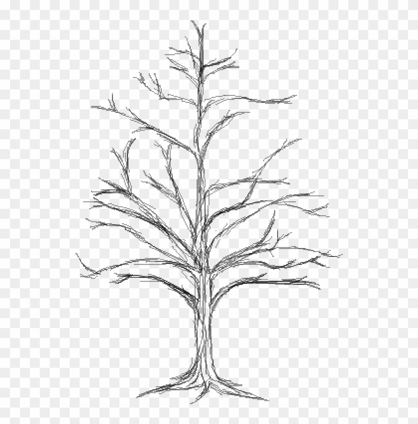 Dead Tree - Sketch Clipart #982943