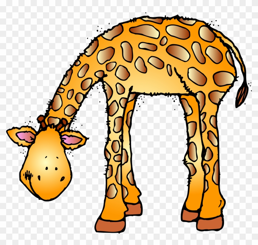 Animal - Transparent Zoo Animal Clipart - Png Download