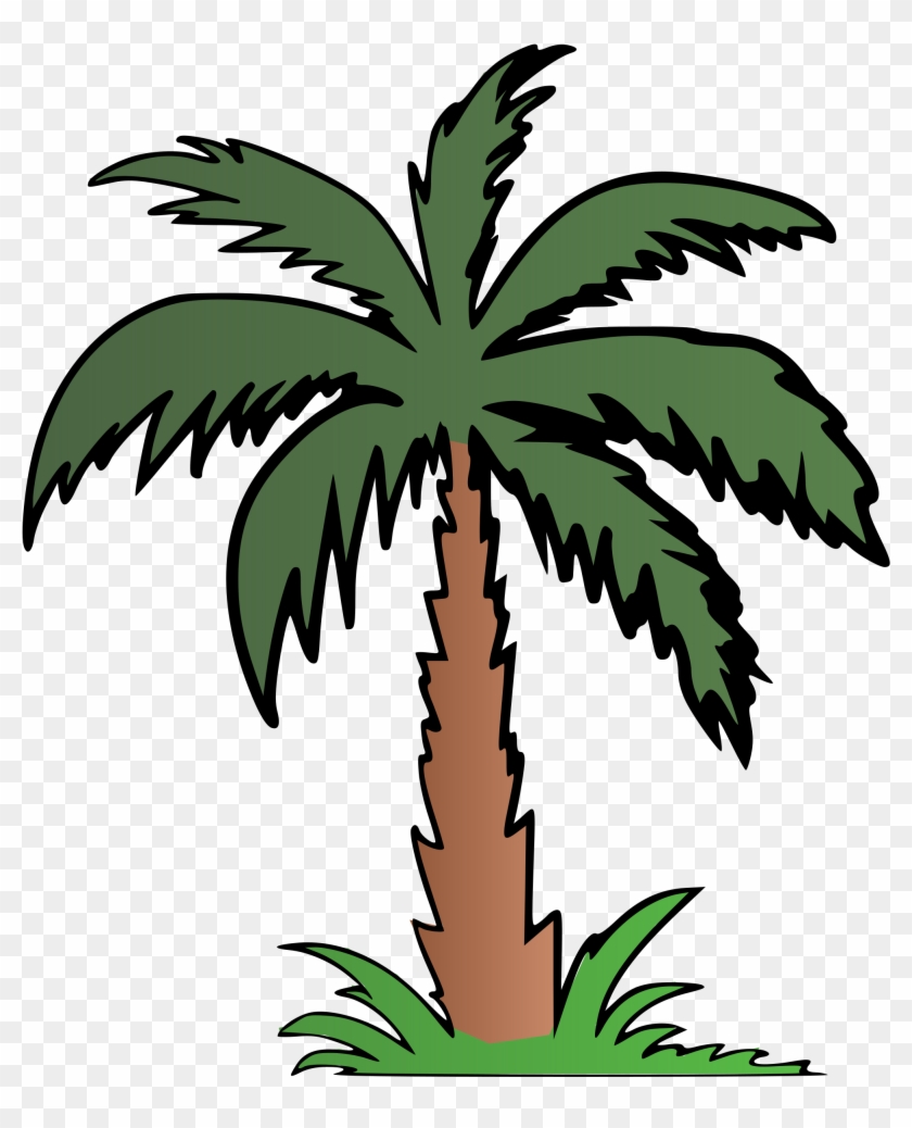 Palm Tree Clipart Terrestrial Plant - Png Download