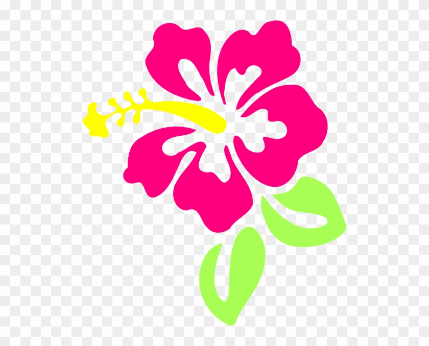 Hibiscus Png Clipart #984406