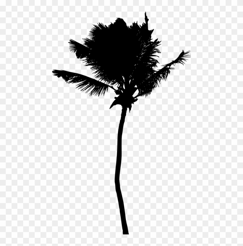 Free Png Palm Tree Silhouette Png - Silhouette Clipart #984510
