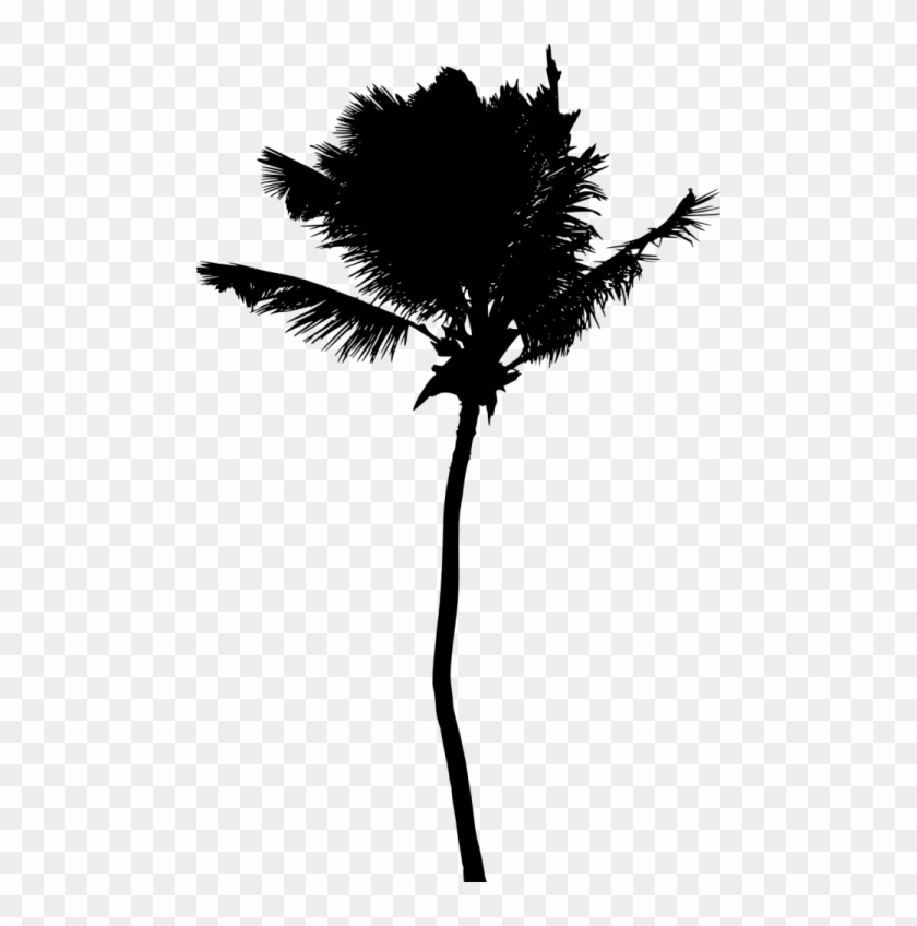 Free Png Palm Tree Silhouette Png - Silhouette Clipart