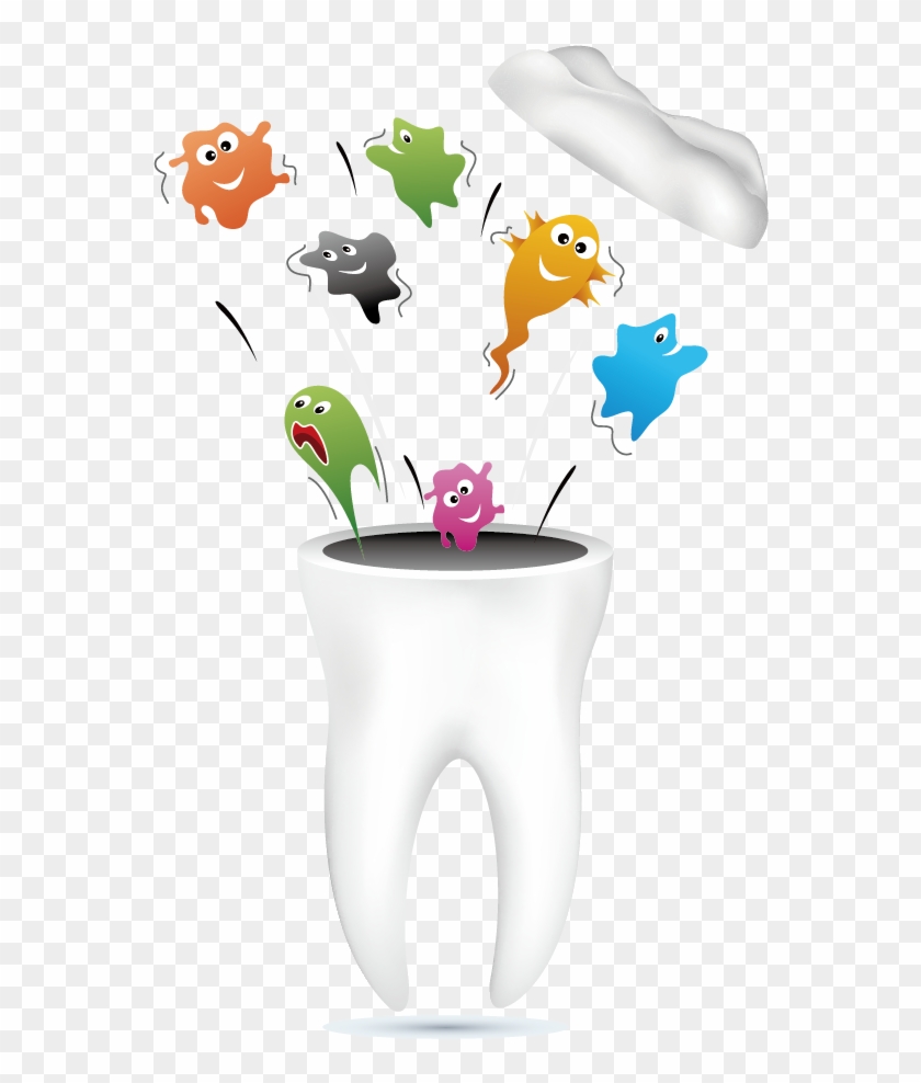 Single Teeth Png Photo - Tulip Clipart #984514