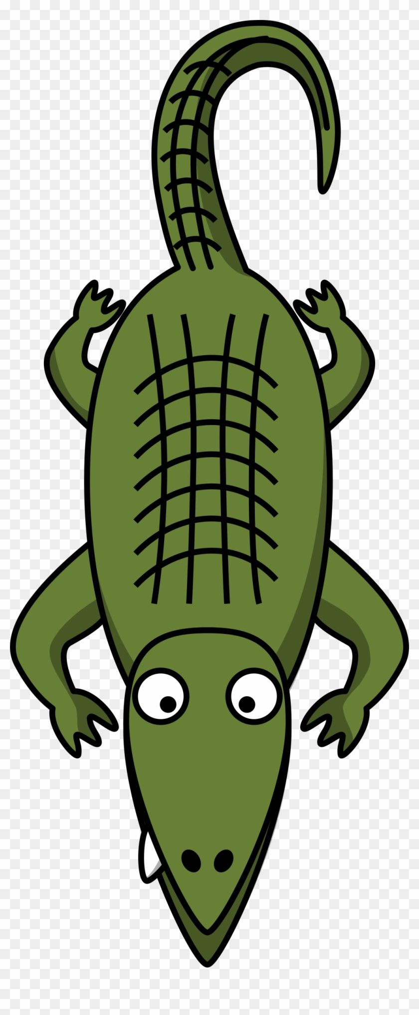 Banner Library Library Alligator Clipart - Alligator Clip Art - Png Download #985861