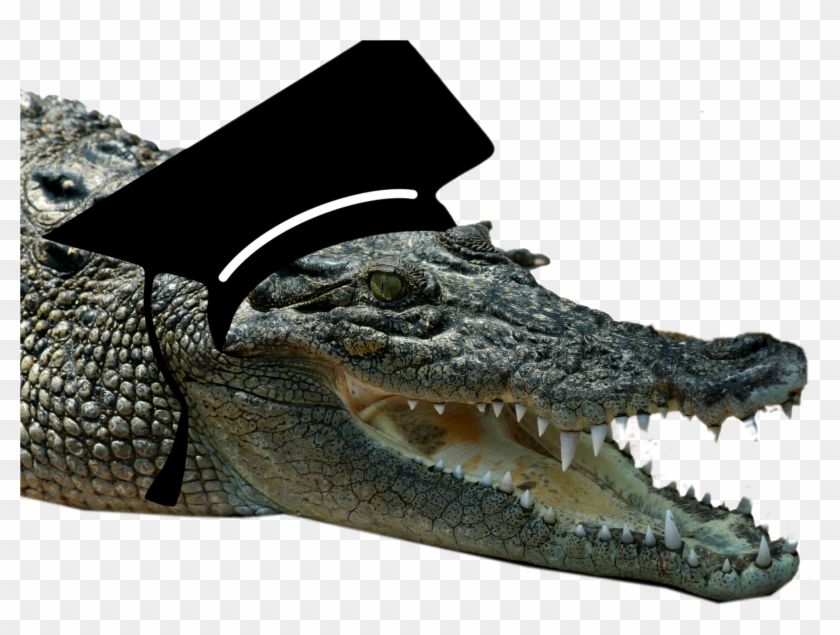 Crocodile Clipart #985897