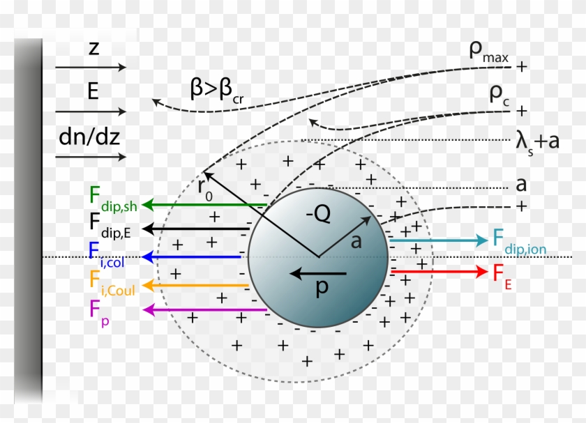 Force Balance On A Dust Particle Larger Than The - Circle Clipart #986041