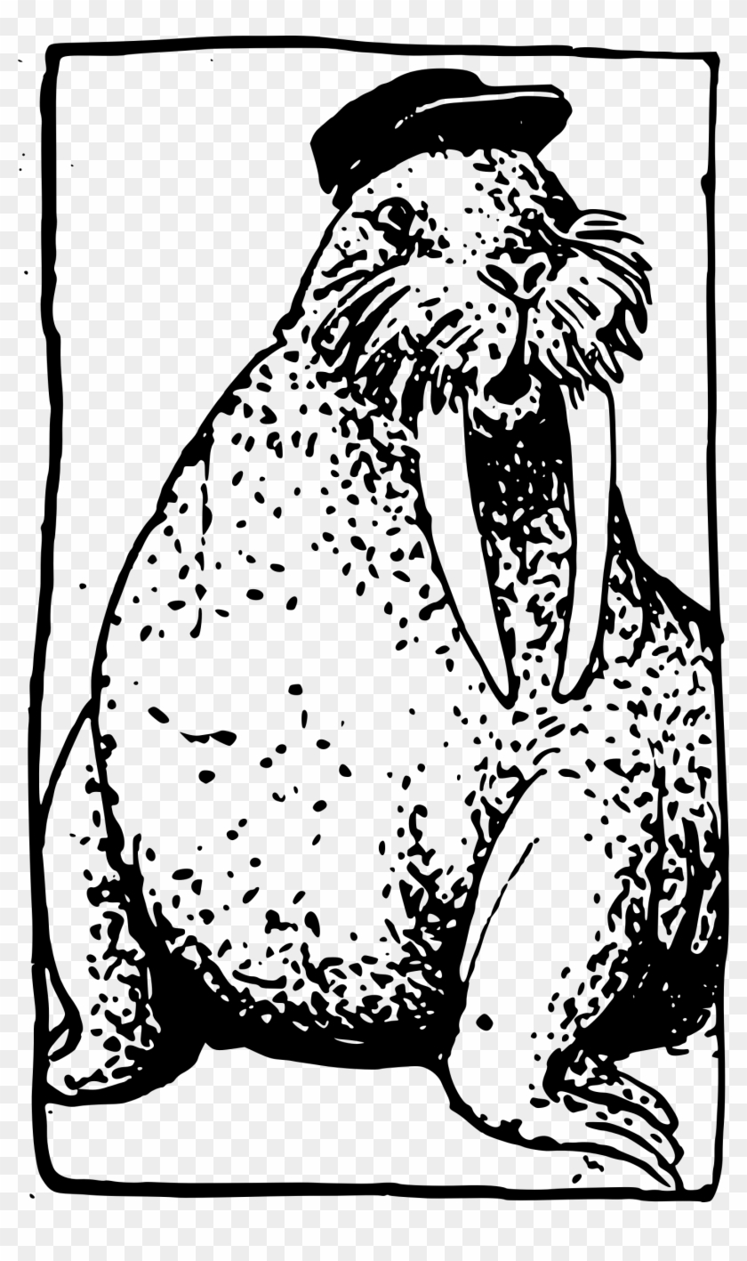 Drawn Walrus Monocle - Illustration Clipart
