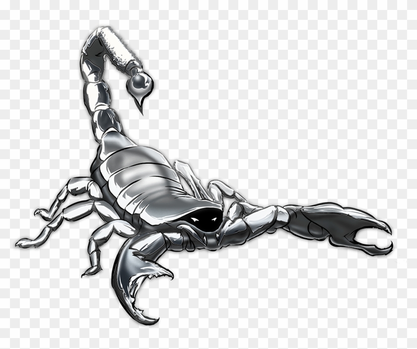 800 X 622 5 - Silver Scorpion Png Clipart