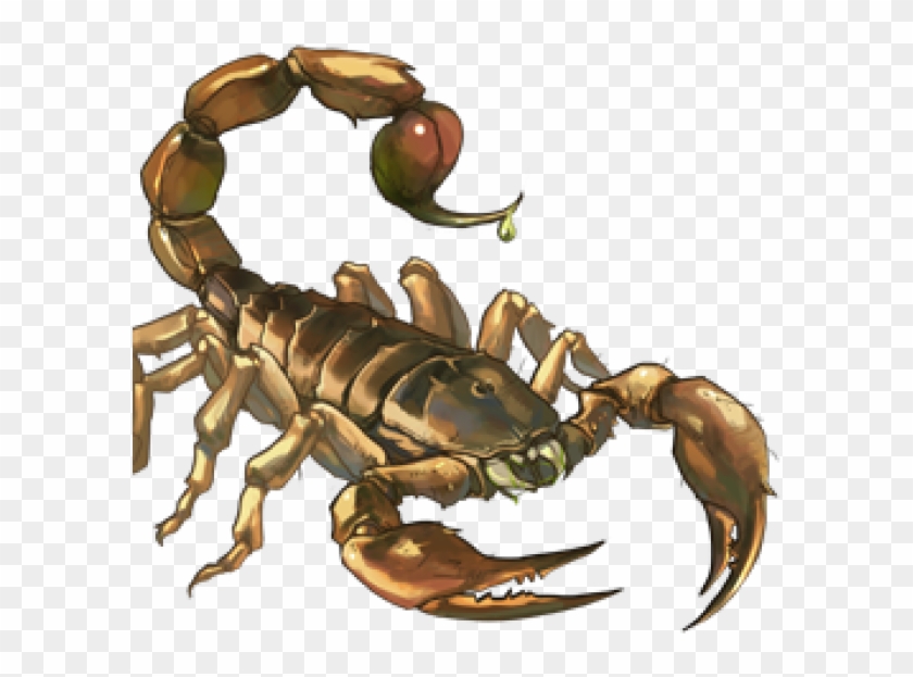 Scorpion Png Free Download - Escorpião Png Clipart #987487