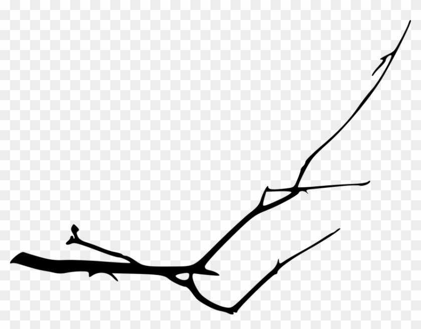 Free Png Simple Tree Branch Png - Line Art Clipart #989525