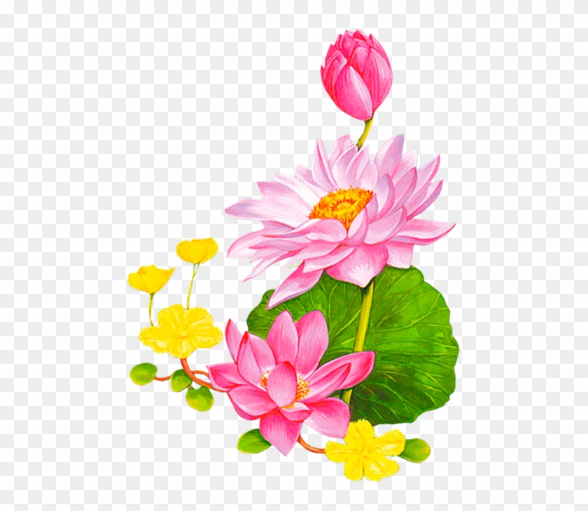 Friendship Flowers, Leaf Clipart, Cartoon - Lotus Cartoon - Png Download