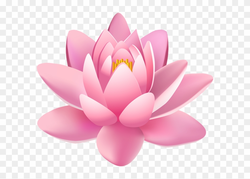 Lotus Flower Png - Hình Bông Sen Phật Giáo Clipart #990344