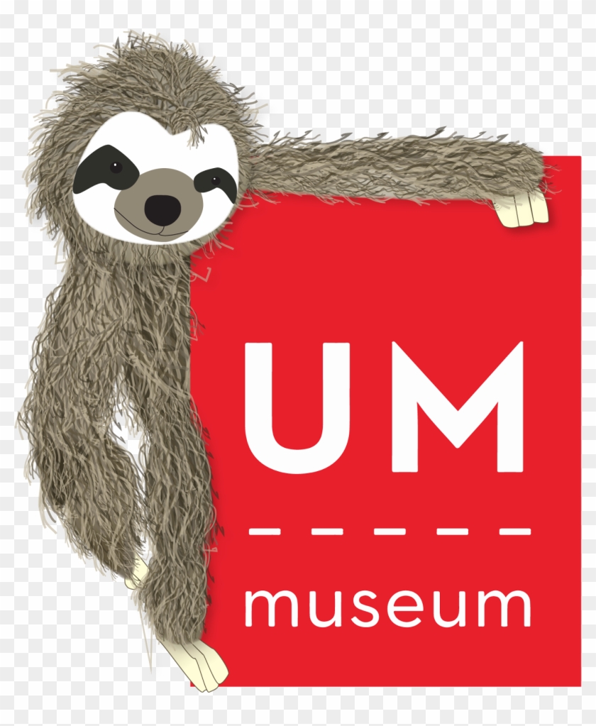 This The Library Sloth - University Of Mississippi Museum Clipart #990594