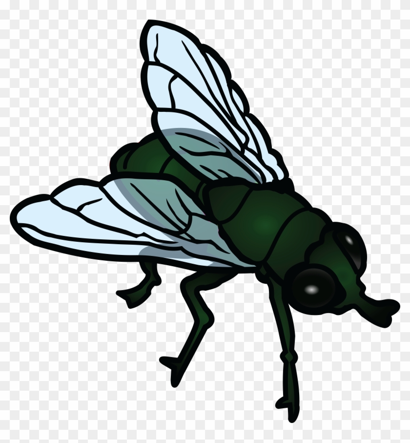 Fly Png Photos - Flies Clip Art Transparent Png #990642