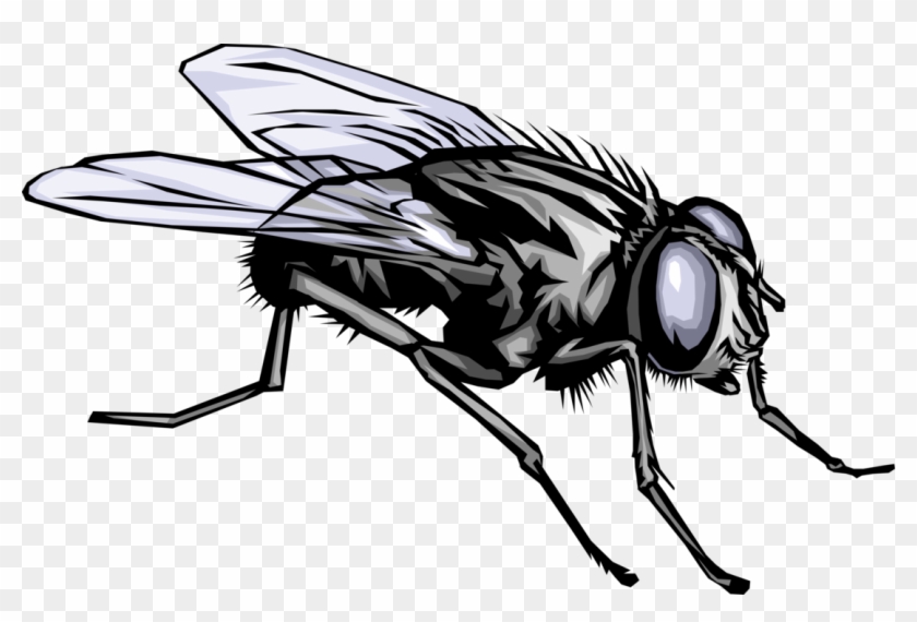 1108 X 700 13 Home Fly Clipart Black And White Png Download