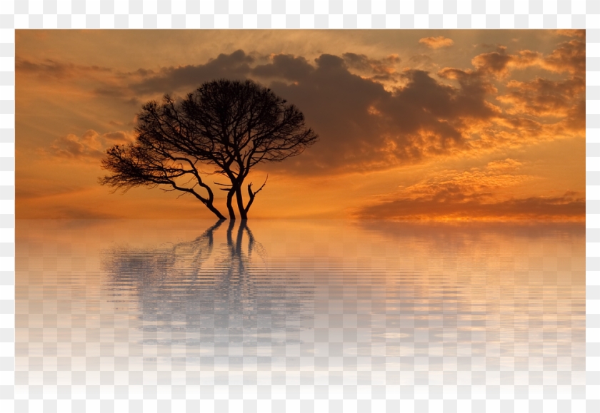 Sun, Sunset, Summer, Nature, Dusk, Scenic, Late Summer - Nature Png Clipart