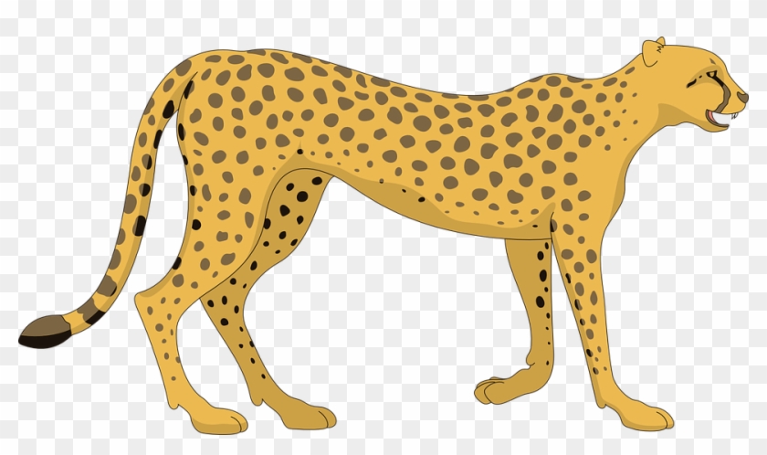 Jpg Transparent Library Cheetah Png For Free Download - Cheetah Png Cartoon Clipart #991213