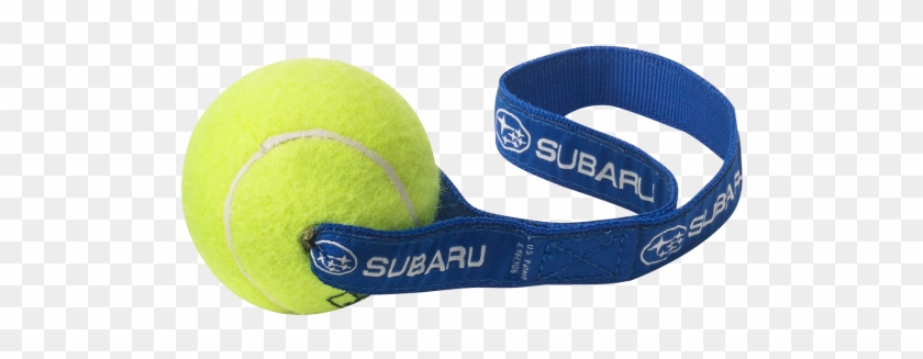 Paddle Tennis Clipart #991754