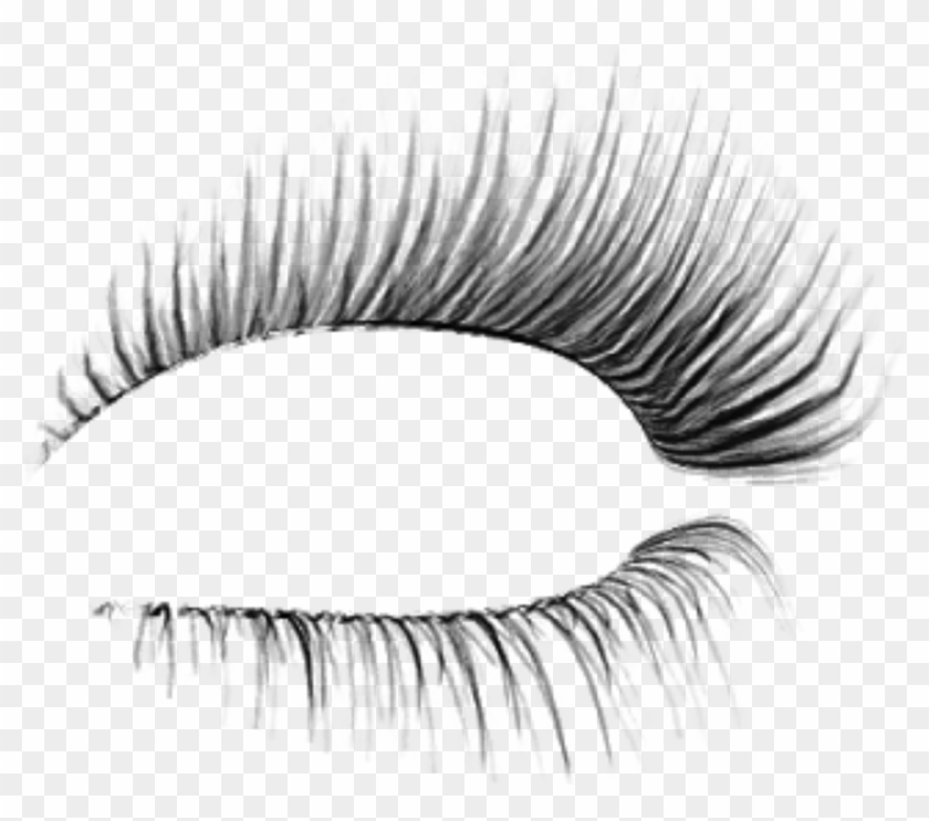 Free Png Download Classis Eyelash Png Images Background - Pestañas Png Para Photoshop Clipart #992678