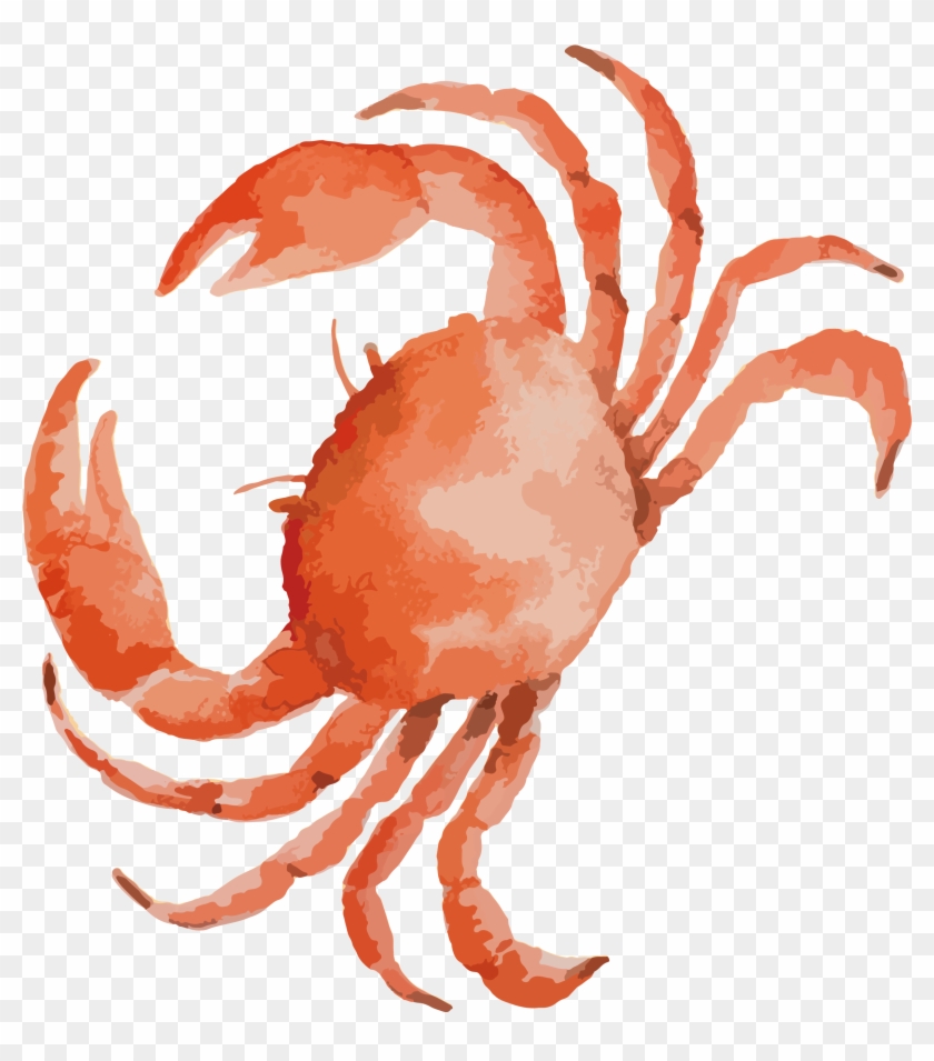 Crab Clipart Arm - 螃蟹 素材 - Png Download #993831