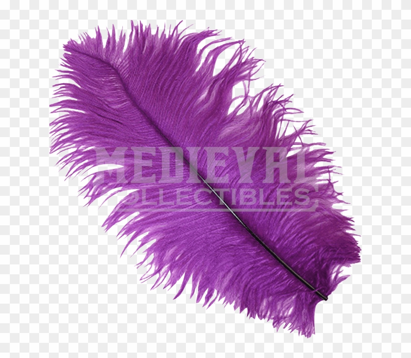 Purple Ostrich Feather Plume - Feathers Purple Transparent Clipart