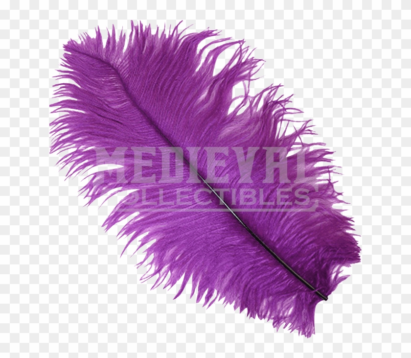 Purple Ostrich Feather Plume - Feathers Purple Transparent Clipart #994001