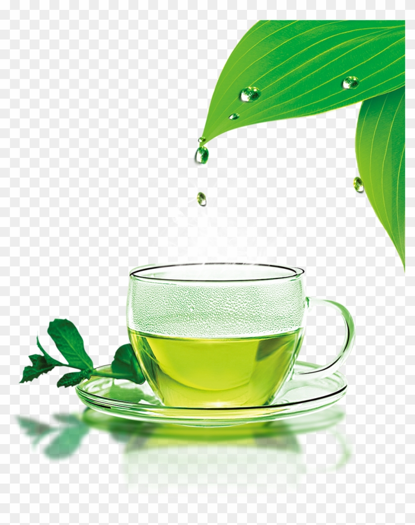 Green Tea Png Download Image - Green Tea Icon Png Clipart #996216