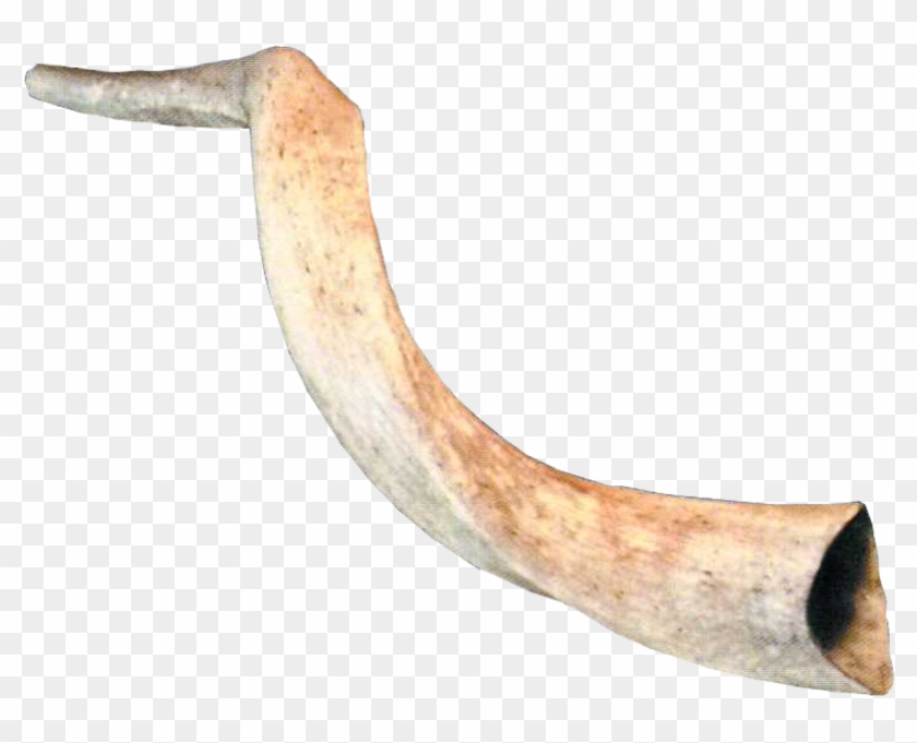 834 X 898 6 - Horn Trumpet Png Clipart #996325