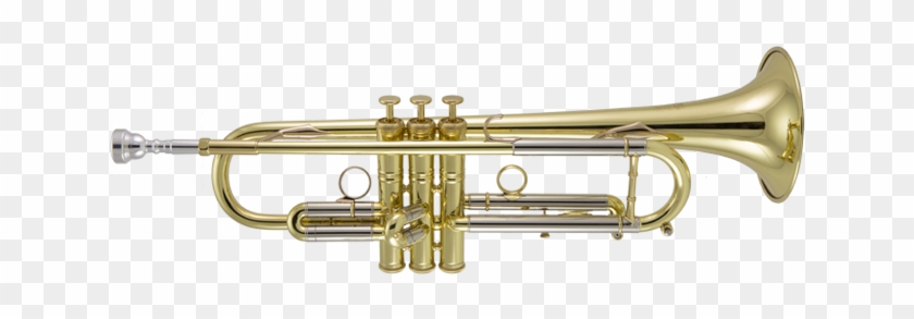 Trumpets - Brass Instruments Trumpet Clipart #996371