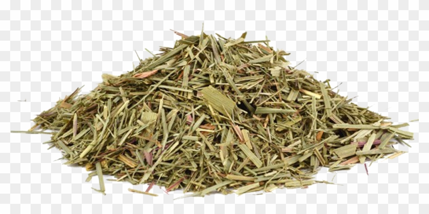 Lemongrass Clipart