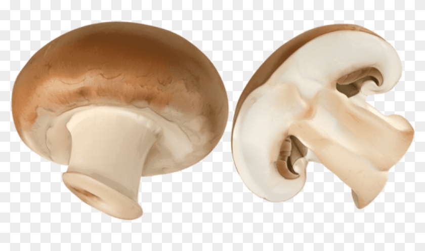 Free Png Download Sliced Brown Mushroom Png Images - Champignon Png Clipart