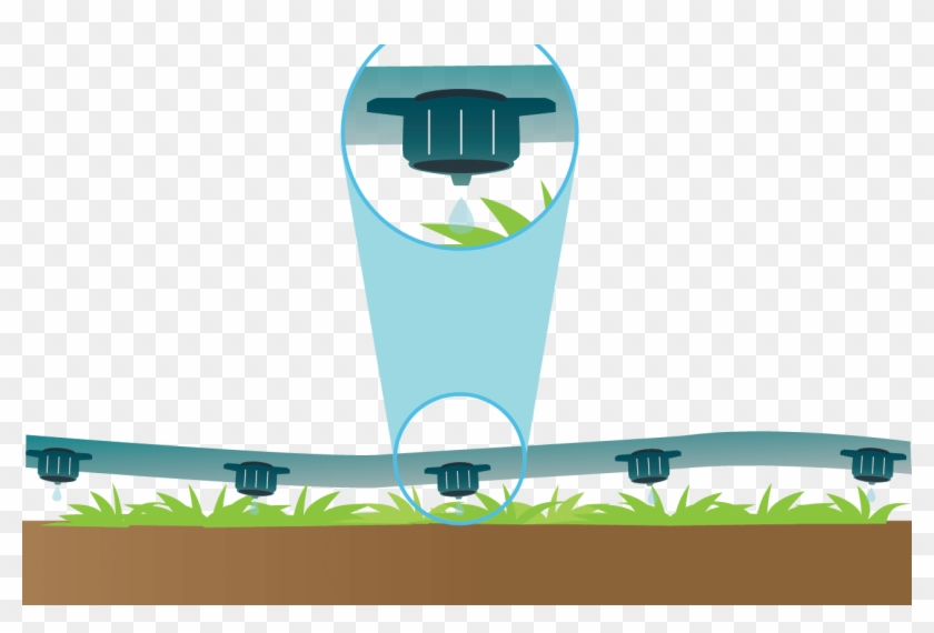 Drip Irrigation Systems Clipart #997682
