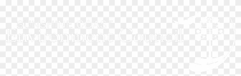 Sun Shine Png - Ivory Clipart #998174